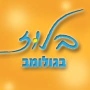 בלוז אירועים - גבעתיים