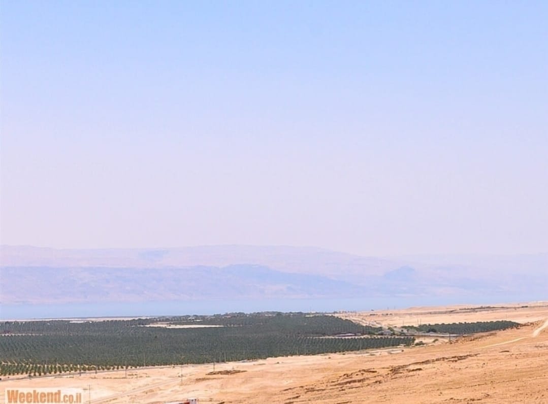 ורד יריחו צימרים – אירוח שבת חתן ואירועים