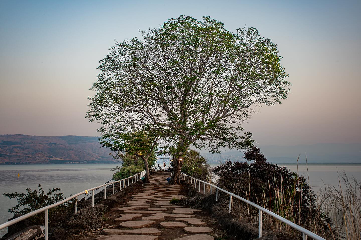 כפר הנופש דריה – אירוח שבת כשר על הכנרת