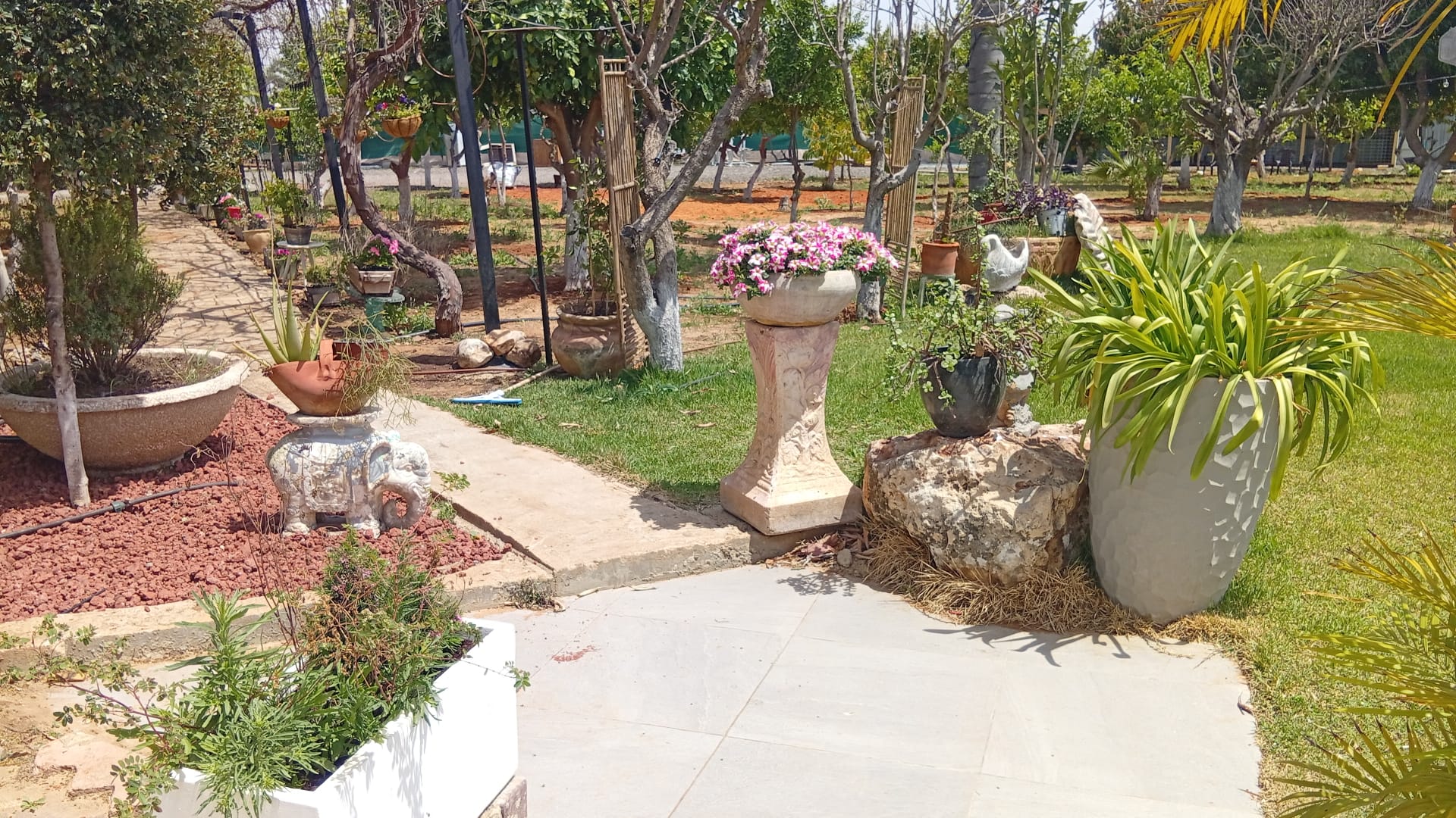 גן עצי הפרי -  חתונת בוטיק בשרון