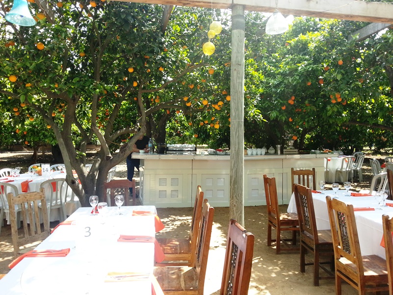 הפרדס הקסום - כפר מעש פתח תקווה