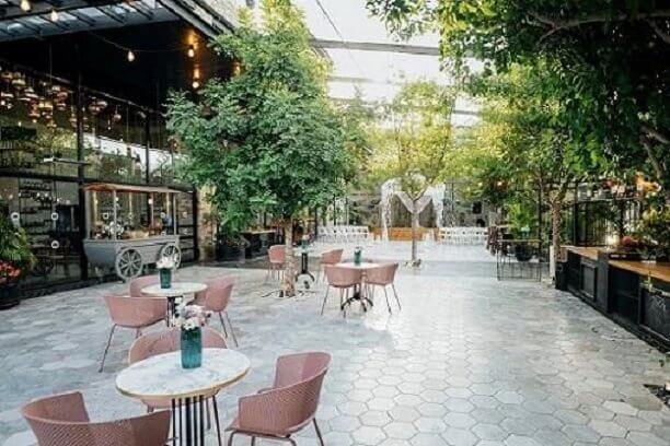 גרייס GRACE - ראשון לציון