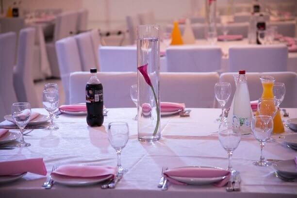 אורכדיה - תלפיות - ירושלים