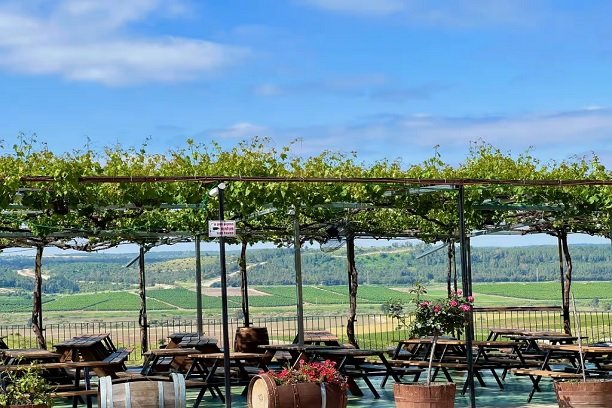 יקב מוני - דיר ראפאת עמק שורק