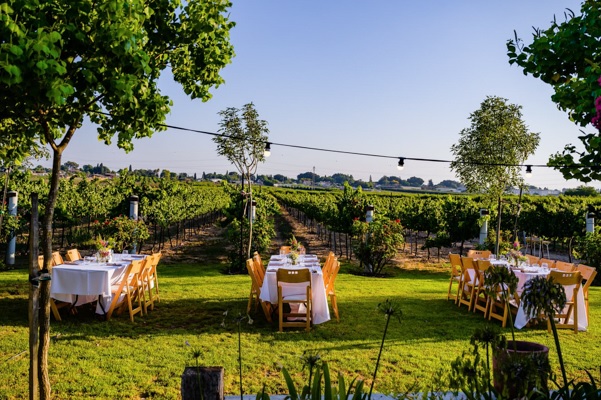 יקב חיטים - נווה מבטח (בקרבת גדרה)