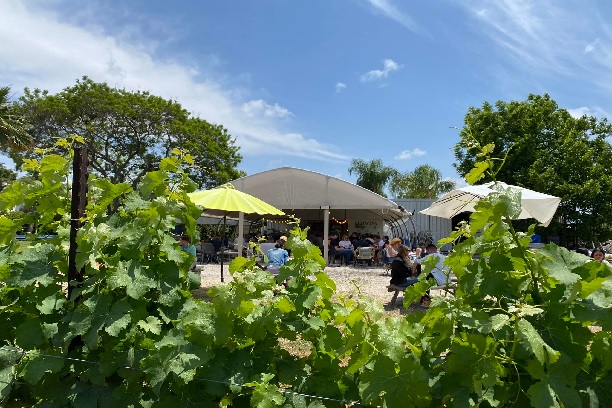 יקב 70 - מושב אמונים (אזור אשדוד)