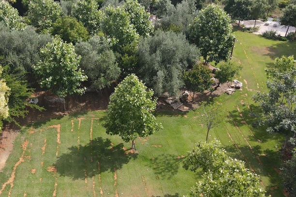 המתחם הירוק - ליד רעננה