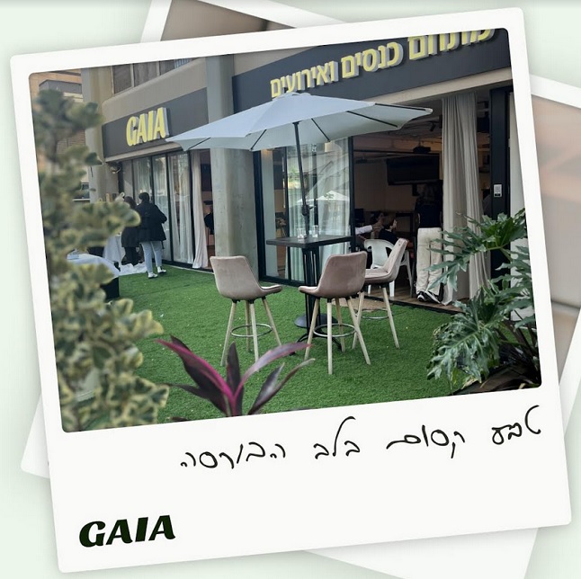 גאיה Gaia Gallery - רמת גן
