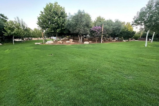 גרין אירועים - ליד רעננה