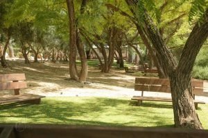 מדרשת שומרון  - שבי שומרון