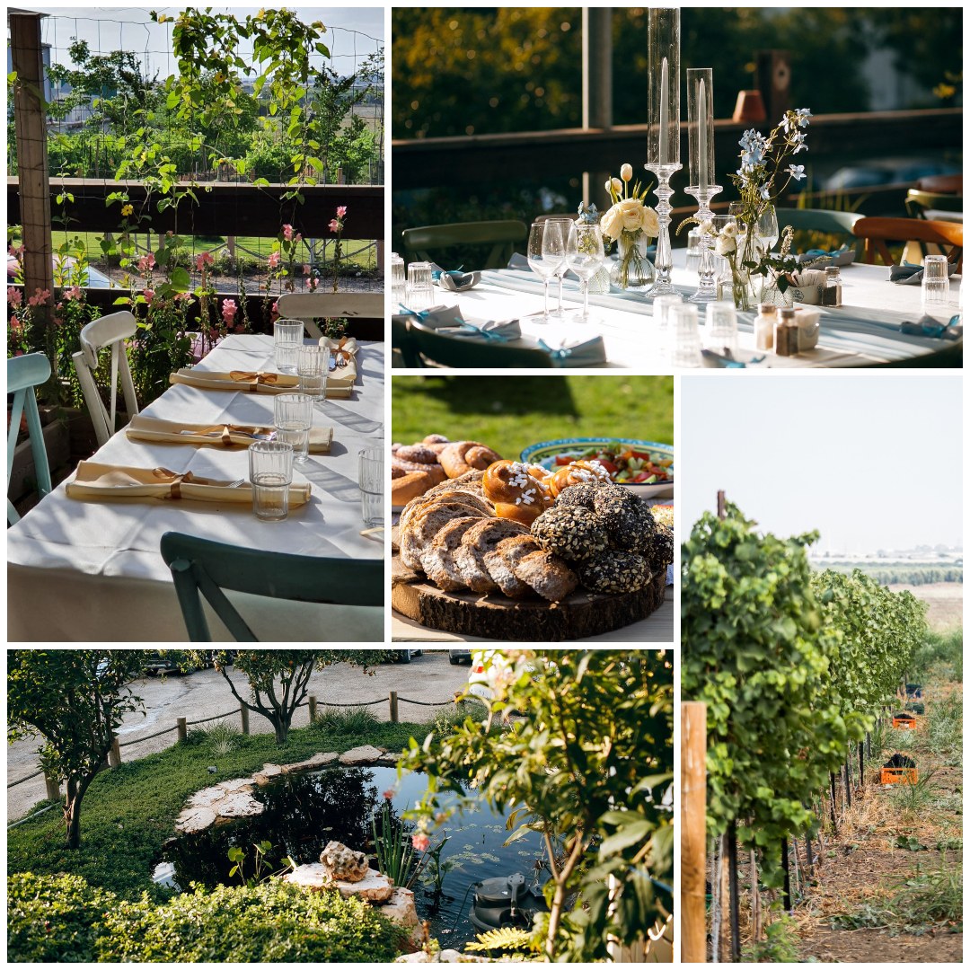 יקב  ג'ויס מול הכרם  - ביצרון בין גדרה לאשדוד