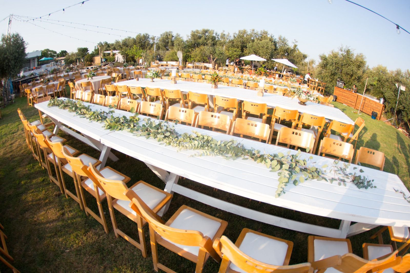 מול השדות - שדה משה שבחבל לכיש