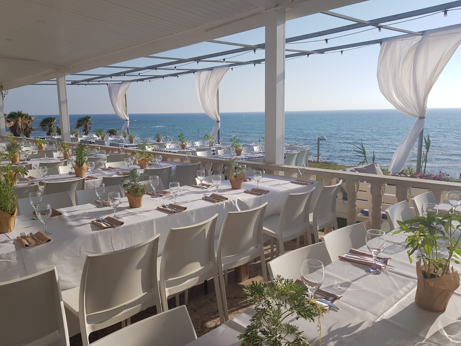 הצוק אירועים - יפו