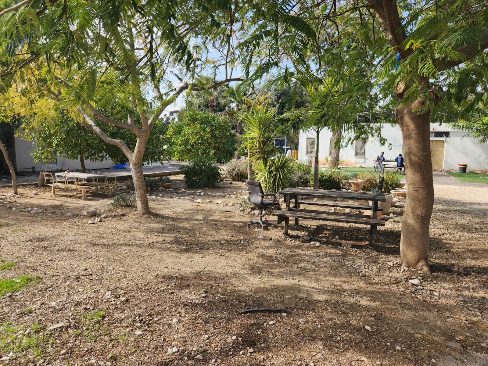 אירוח לשבת חתן ישיבת דרך חיים – קרית גת