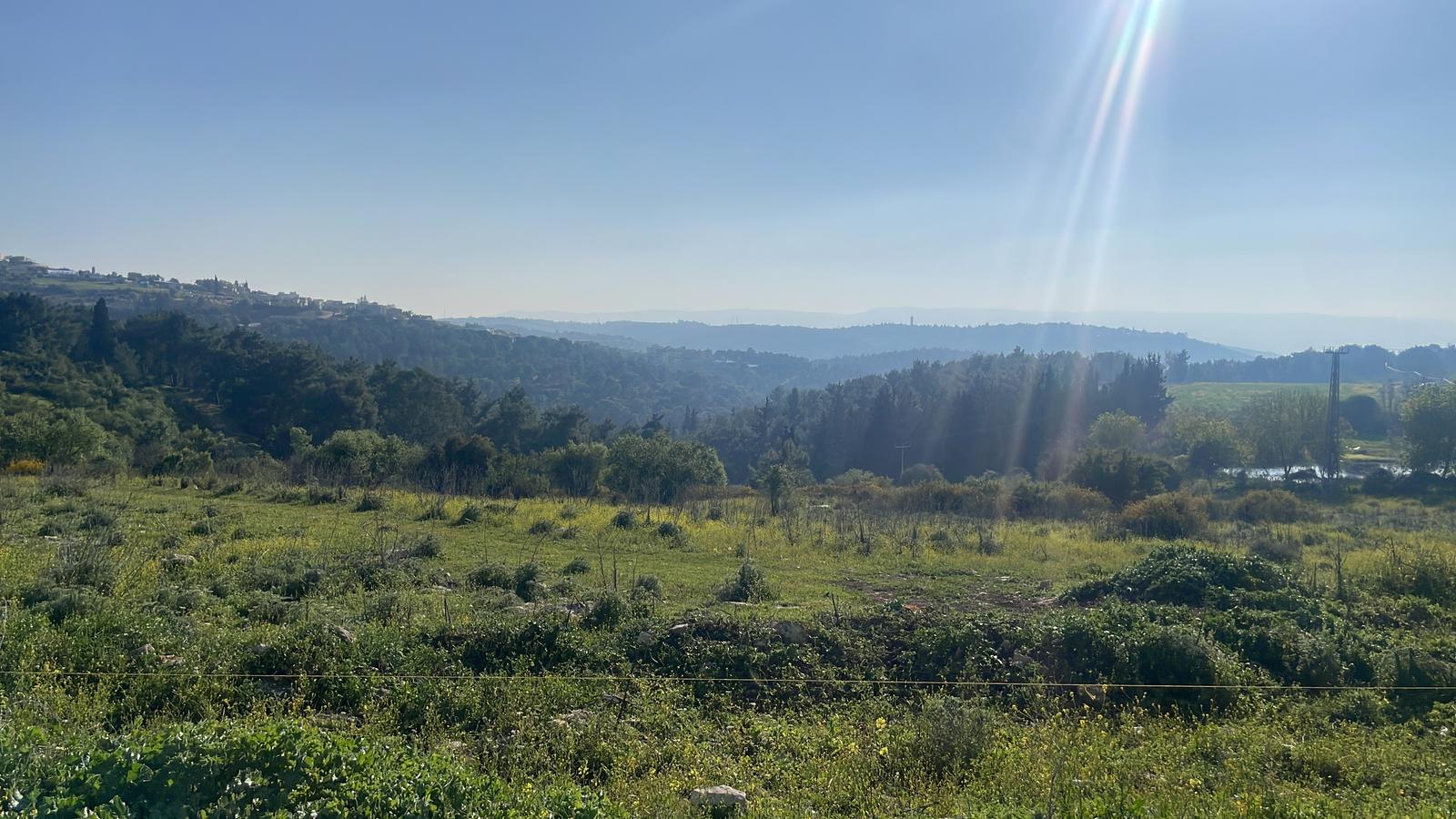 יער קרית אתא – אירועים בטבע