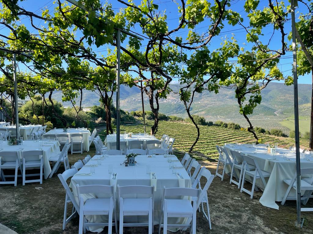 בר בכרם - יקב לאירועים  בחזון