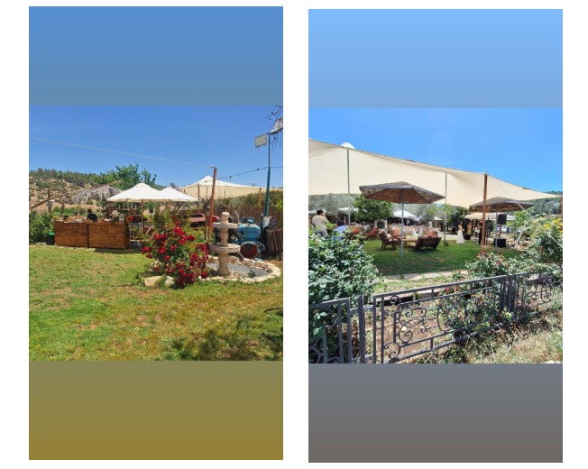 בוסתן ציפורי – מתחם לאירועים ליד חיפה