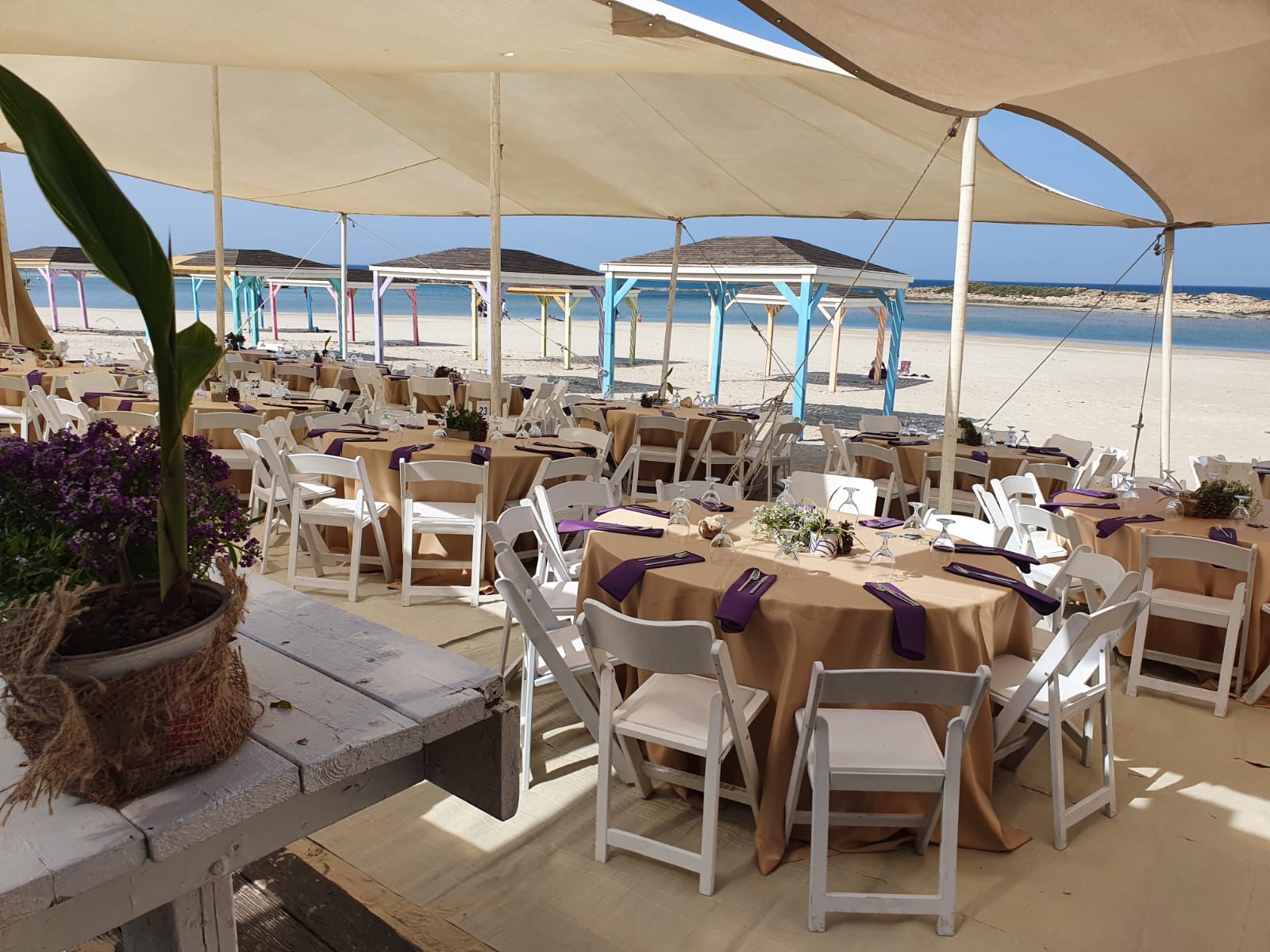 יאמס Yamas - אירועים קסומים מול הים - חוף דור