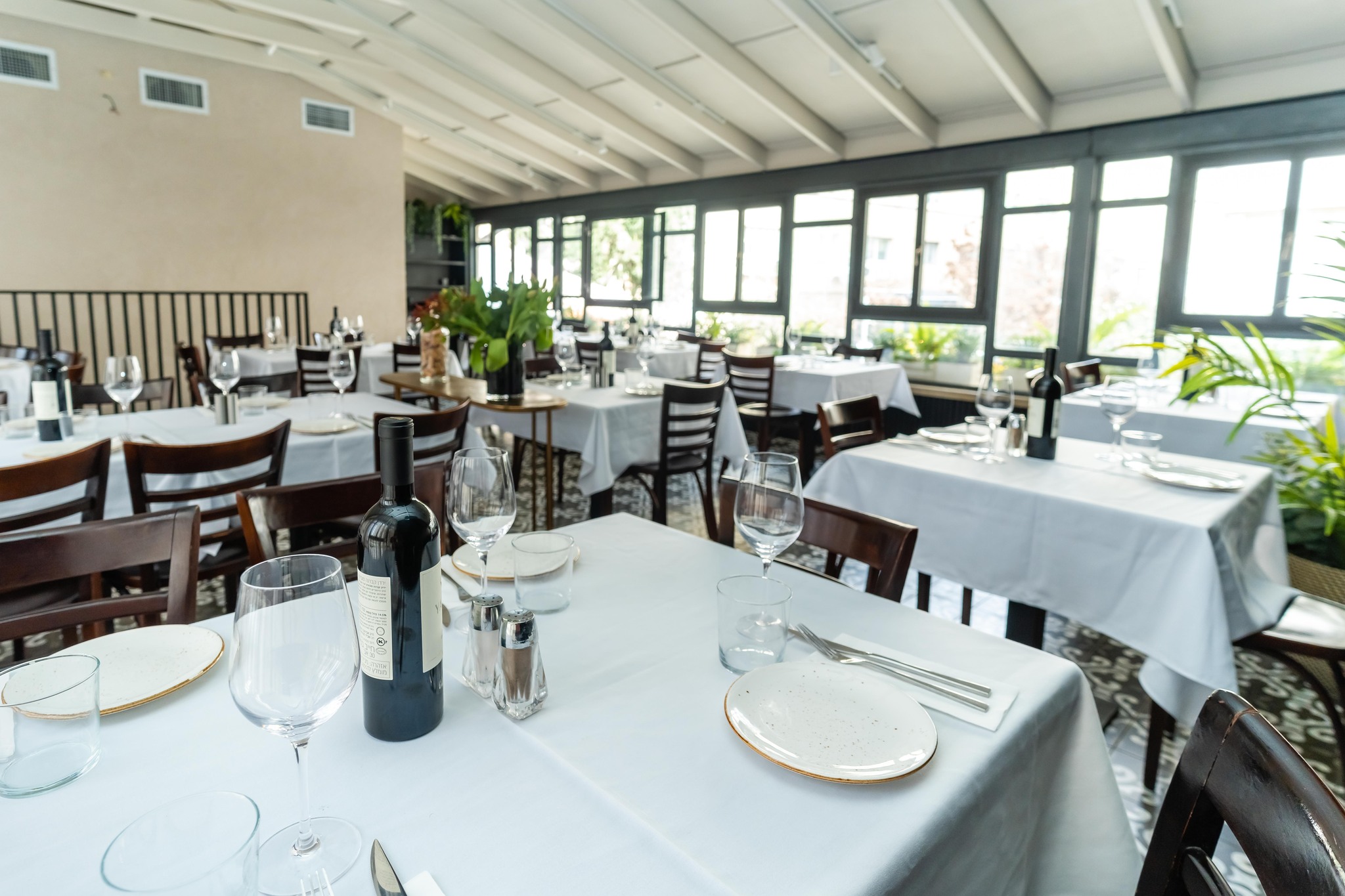 דולפין ים הכשרה -  ירושלים