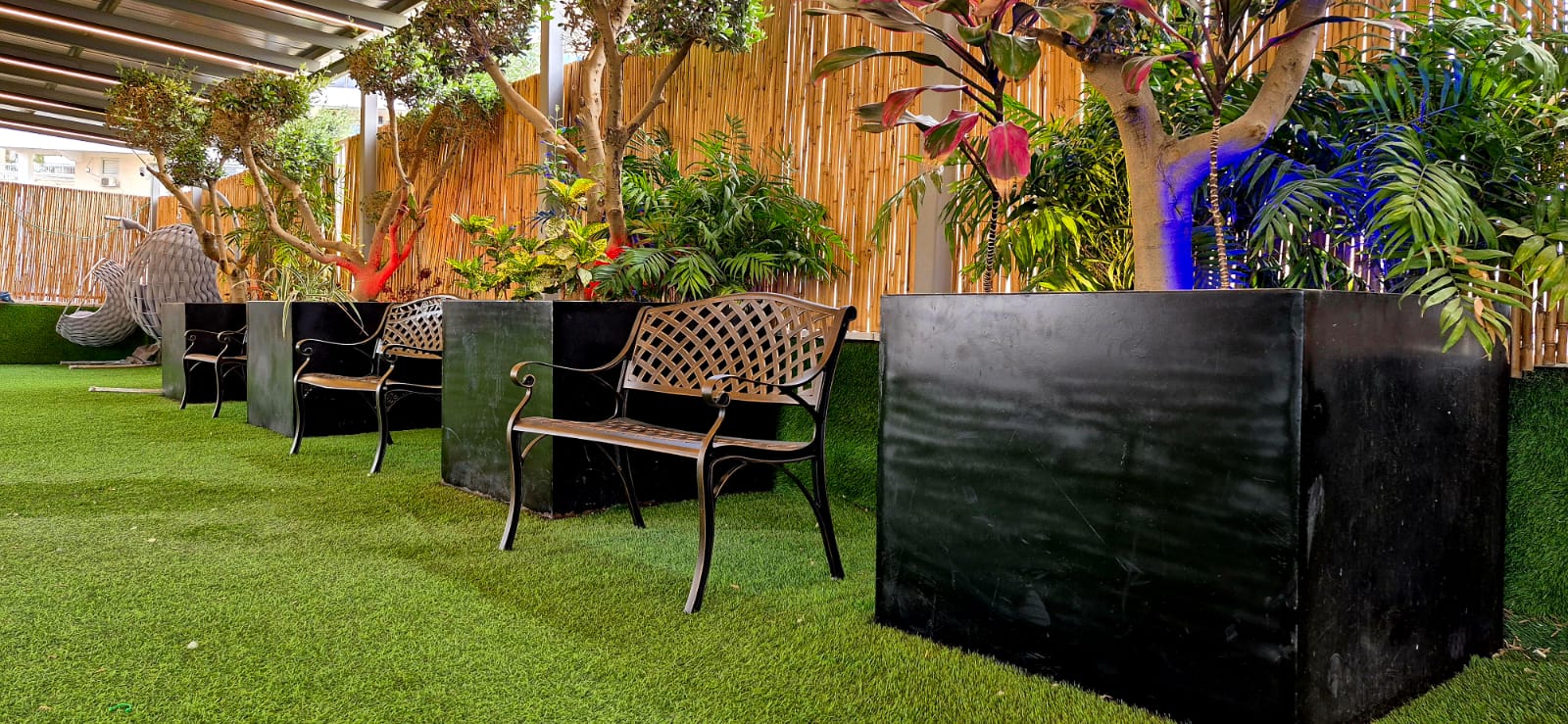 קמפוס לב  - מודיעין עילית