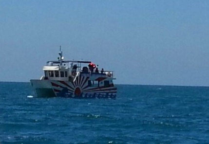 זאב הים השכרת יאכטות לאירועים - הרצליה